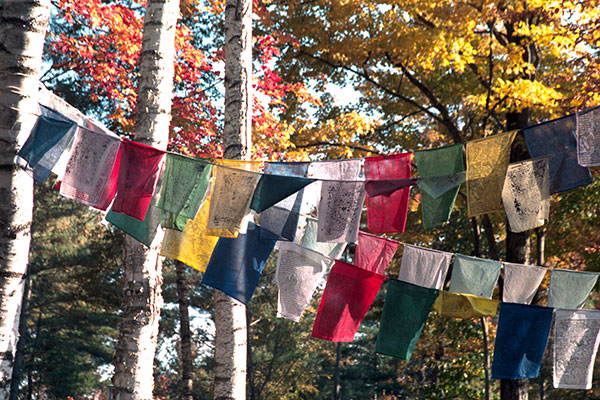 Fall Karma Yoga on  Khandroling