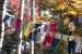 Fall Karma Yoga on  Khandroling
