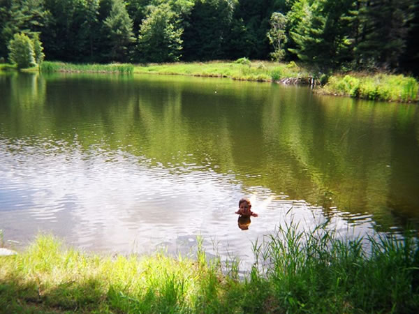 Khandroling Pond Khandroling-pond-swimmer-web.jpg