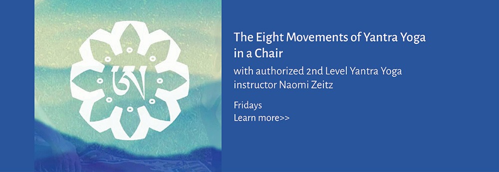 Naomi Zeitz - Yantra Yoga in a Chair