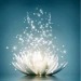 Deepening the Pranayamas of the 1st & 2nd Series of Yantra Yoga